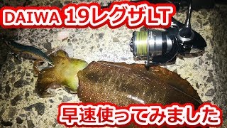 【実釣レビュー】最新商品の19レグザを使って、エギングしに行ってきました！