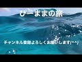 【沖縄読谷村】むら咲むら！琉球ガラス体験！グラスボート、ジンベイザメツアー！！