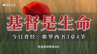 基督是生命｜20240328今日背经-歌罗西书3章4节｜《每日背经》｜跟着小光每日背一节圣经，默想这节经文，建造灵命，品尝主恩，一起来背经吧！