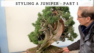 Styling A Juniper - Part 1