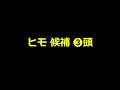 1812【単複１点勝負 2025　中山金杯】狙いたい２つの理由　欧州型ノーザンダンサー系×前走５着以内の実績　にしちゃんねる 馬tube