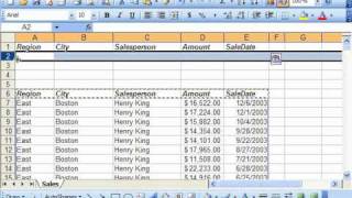 Excel 2003 Tutorial Creating Advanced Filters Microsoft Training Lesson 28.1