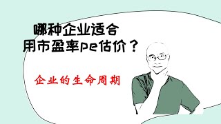 市盈率 pe 股票估价适用于哪种企业｜企业的生命周期