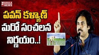 పవన్ కళ్యాణ్ మరో సంచలన నిర్ణయం..చనిపోయిన రైతు కుటుంబాలకు జనసేన భారీ సహాయం | PawanKalyan | Mahaa News