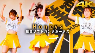 [4Kチア]Honeys ハニーズ FAN! FUN! STAGE チアガール パフォーマンス / 福岡ソフトバンクホークス / CSファイナル 2024年10月18日 ①