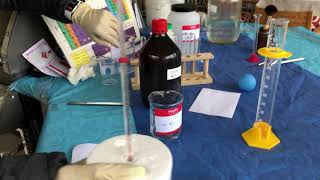 Lab 10.1 Endothermic and Exothermic Reactions: Part I