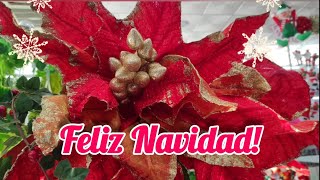 FELICES  FIESTAS !🎄 FELIZ NAVIDAD !🎉 Próspero año 2025 ! Felicitaciones para la Navidad