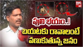 పులి భయం..! బయటకు రావాలంటే వణుకుతున్న జనం | Adilabad Tiger Updates | BIG TV