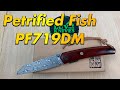 Petrified Fish PF719DM / includes disassembly/ 110 layer damascus,sandalwood scales linerlock