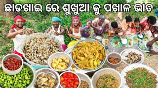 Pakhala Sukhua || ଛାଡଖାଇ ରେ ଶୁଖୁଆ କୁ ପଖାଳ ଭାତ || Water Rice With Dry Fish Mustard paste Fry Recipe.