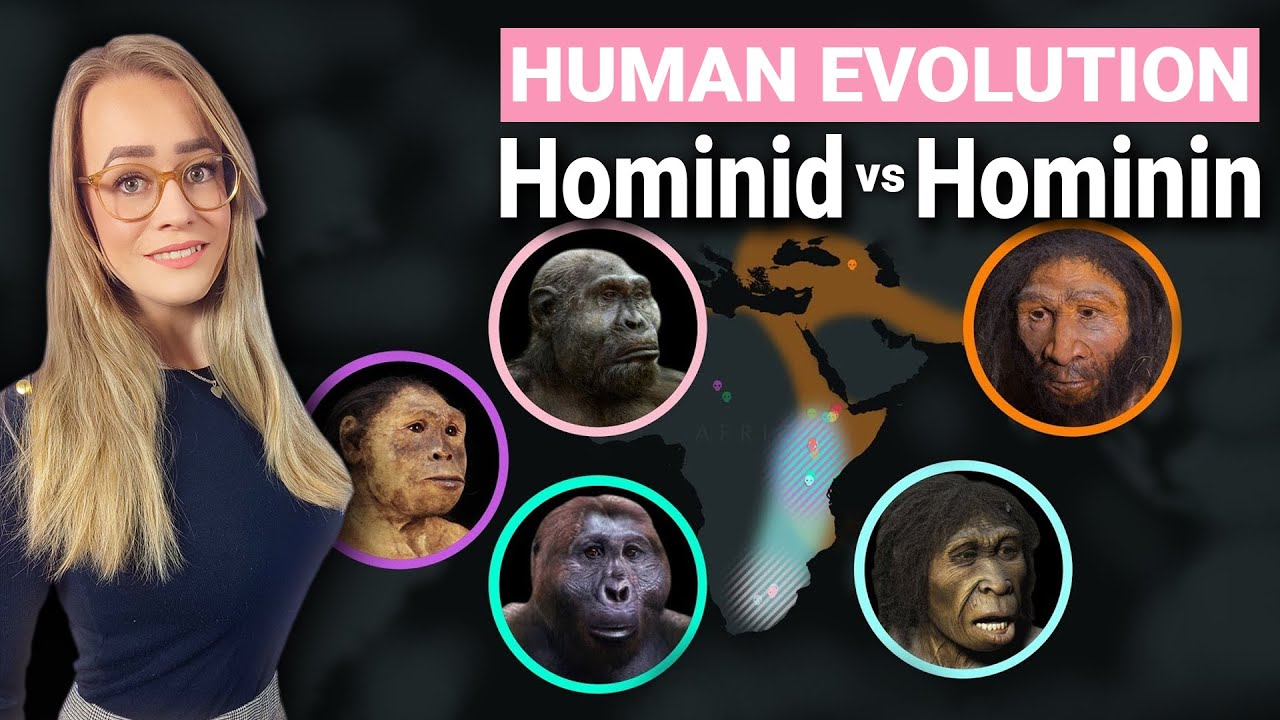 Human Evolution Explained Hominid Hominin Difference Youtube