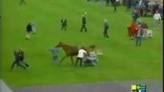 Race Horse Tramples Over Baby Carriage