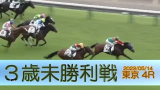 2023/05/14【パドック返し馬つき】東京4R　３歳未勝利戦　☆クレセントウイング　ロードカナロア　　＃レースは10分ころから