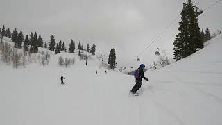 Skiing Porky Face at Snowbasin