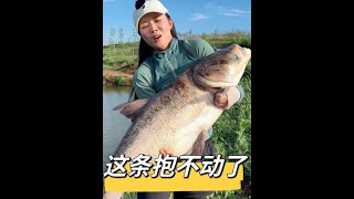 大家快来看鱼遛人了，猜猜有多大#豆豆#女钓手#钓鱼分享#钓鱼生活