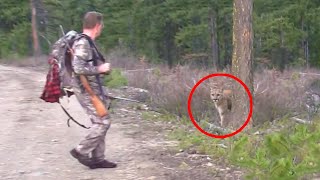 6 Mountain Lion Encounters That Will Horrify You