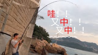 香港釣魚 投釣 深井 爲何中魚總在深夜