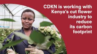 Introducing CDKN 2015