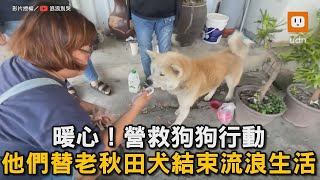 暖心! 營救狗狗行動 他們替老秋田犬結束流浪生活｜寵物｜流浪狗｜中途之家｜救援｜安頓｜暖心 @langlangdontcry