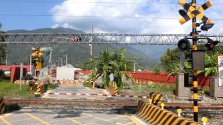 [平交道/踏切]台鐵4617次區間車通過(永興村(二)平交道)