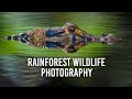 Photographing Wildlife in the Amazon Rainforest, Ecuador