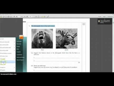 Copying and pasting text and images from a pdf into Word Copying and pasting text and images from a pdf into Word