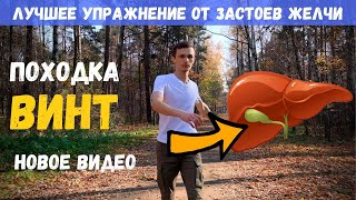 Упражнения от ЗАСТОЕВ ЖЕЛЧИ, ДИСКИНЕЗИИ 🥑 Походка ВИНТ