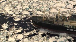 The Yushin Maru No 1 and Nisshin Maru are spotted then flee through ice fields