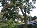 bells at st. thomas anglican church ndg montreal 9 october 2016