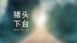 出埃及记第六课：焚而不毁（3:1-10）。感恩节看疫苗疫情：罗昌平胡舒立遭遇患难，川普已在归途。始于作死终于和平：简评习辛亥革命110年讲话。血拼连任与台海危机内卷猪头：怎样穿越习近平最后的日子。