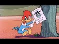 Woody and the Horse Thief! | 2.5 Hours of Classic Episodes of Woody Woodpecker