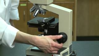 Human Physiology and Anatomy - Compound Microscope