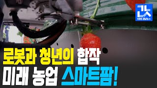 청년이 일구는 스마트팜, 농업혁신 이끌다 | KBS 201028 방송