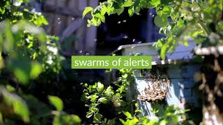 Ovum Research: Threat Alerts on the Swarm