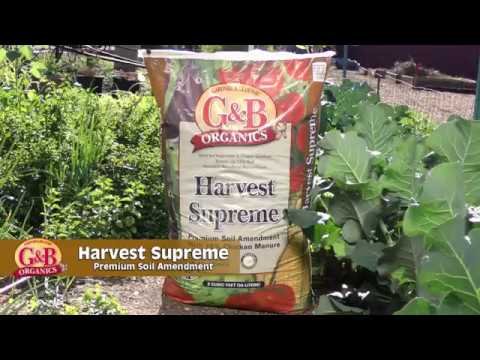 GBO Harvest Supreme - YouTube