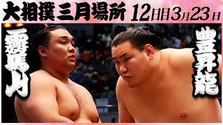 大相撲 霧馬山ー豊昇龍＜令和５年三月場所・十二日目＞SUMO