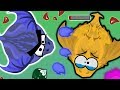 LEGENDARY AZURE BRINGER DRAGON DESTROYS GOLDEN KING DRAGON IN MOPE.IO