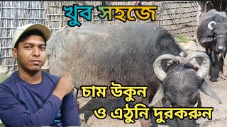 খুব সহজে কি ভাবে পশুর শরীরের চাম উকুন ও এঠুনি দুর করবেন ।(Ki Vabe chamukun o athuni  shoraben)