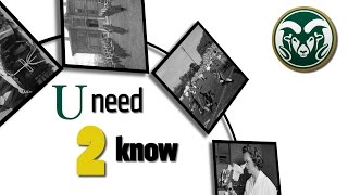 What You Need To Know About Colorado State University