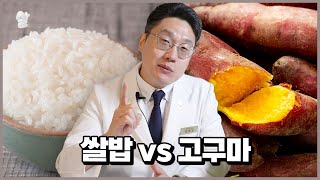 다이어트할 때 최고로 좋은 탄수화물을 뽑는 월드컵