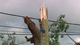 Mini tornade à Montreuil en caux (76)