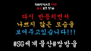 100만원으로1억! [관심종목]_SG세계물산_쌍방울