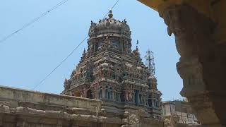 Temple Doves- Arulmigu Madana Gopalan Temple Madurai.