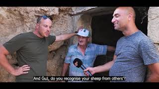 Ġużu l-Beżuża, the Dingli Cliffs shepherd