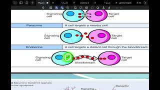 طب ذي قار /receptors (النواقل)