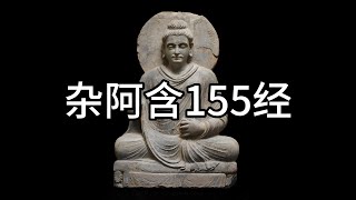 杂阿含155经，中文白话翻译（155）