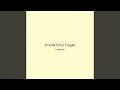 Crystal Echo Fragile