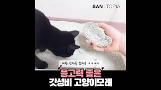 놀라운 응고력! 먼지없는 프리미엄 벤토나이트 모래 샌토피아 블루 18kg 29,900원  #고양이#고양이모래#고양이화장실#벤토나이트모래#샌토피아#고양이모래추천#고양이배변모래