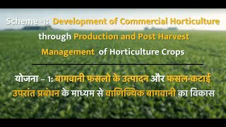 Scheme_01 Commercial Horticulture