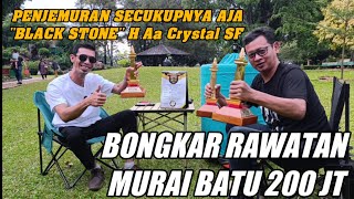 BLACK STONE AA CRYSTAL SF JUARA JAYAKARTA CUP MASTERPIECE! RAWATAN SETINGAN HARIAN MURAI BATU JUARA